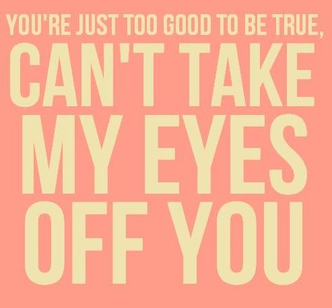 You're just too good to be true, can't take my eyes off of you ❤️ Frankie Valli, Lyrics To Live By, I'm With The Band, Too Good To Be True, Greatest Songs, Song Quotes, Lyric Quotes, My Eyes, Music Quotes