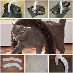 Attmos from Instructables shared this wonderful DIY project of making self-petting station for cats. This is a fun little project that can be completed in an hour or two depending on what you have laying around the house. It’s a self-petting station for your cats so that they can get a good petting. I love this!!! Diy Jouet Pour Chat, Animal Furniture, Katt Grejer, Pet Station, Chat Diy, Diy Cat Toys, Cat Things, Pictures Of Cats, Loose Hair