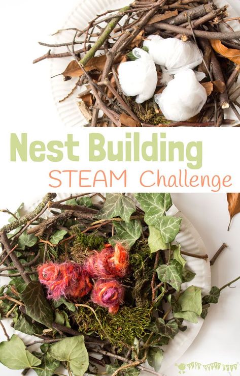 Make A Birds Nest, Real Birds, Bird Nest Craft, Steam Challenges, Forest School Activities, Nest Building, Kids Craft Room, Steam Projects, Stem Challenge