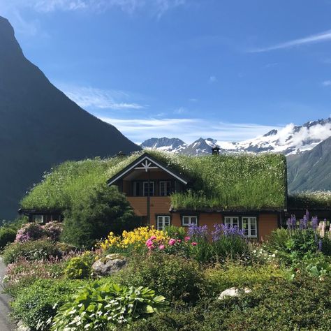 Norwegian Garden, Swedish Country House, Summer In France, Norway House, Tiny Boat, Grass Roof, Nature Therapy, Vision 2024, Design Journal