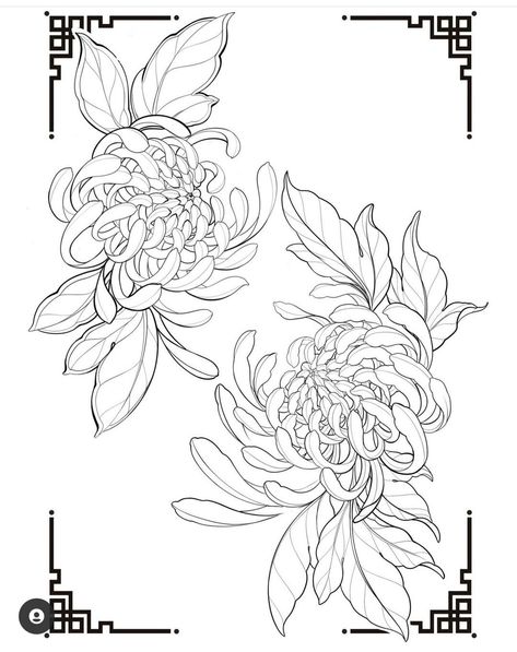 Minimalist Tattoo Ideas, Japanese Flower Tattoo, Chrysanthemum Tattoo, Flower Tattoo Drawings, General Ideas, Floral Tattoo Design, Tattoo Portfolio, Japanese Tattoo Art, Tattoo Outline