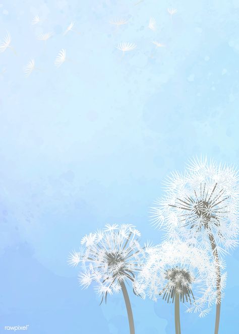 Hand drawn dandelions with a blue sky background | premium image by rawpixel.com Design To Draw, Sky Drawing, Dandelion Wallpaper, Wal Art, Sky Anime, Light Blue Aesthetic, Hand Images, Blue Aesthetic Pastel, Aesthetic Sky