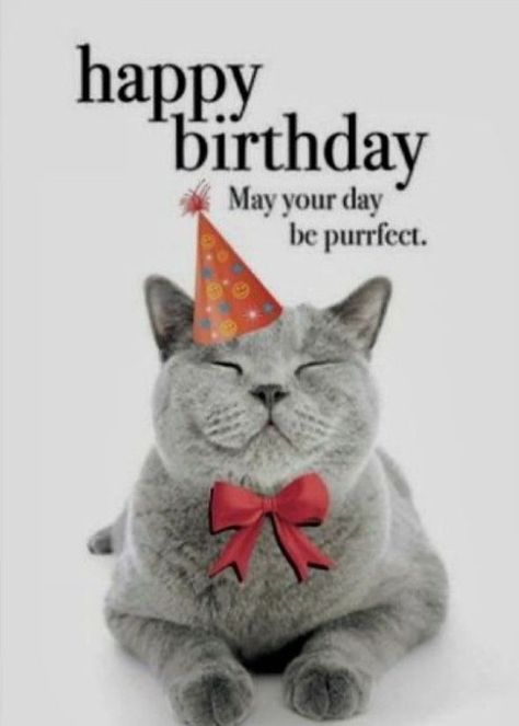 Funny Happy Birthday Messages, Senior Center Activities, Animal Funnies, Cat Paintings, Senior Center, Happy Birthday Wishes Images, Birthday Wishes And Images, Happy Birthday Funny, Center Activities