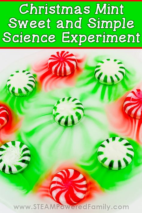 Preschool Christmas Science Experiments, Grinch Experiments, Science Christmas Activities Preschool, Christmas Science For Preschool, Toddler Christmas Science Activities, Prek Christmas Science Experiments, Xmas Science Experiments, Holiday Science Experiments, Christmas Math And Science Activities Preschool