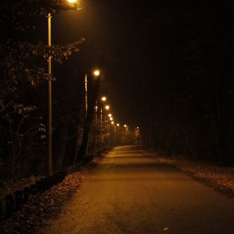 late night walk Late At Night Aesthetic, Walking At Night Aesthetic, Late Nights Aesthetic, Magic Backyard, Night Walking Aesthetic, Silent Man, Ted Hughes, Night Walk, Night Aesthetic