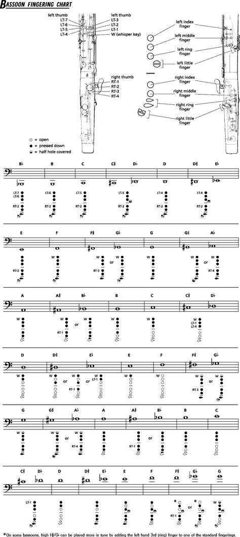 bassoon fingering chart Clarinet Note Chart, Clarinet Fingering Chart, Flute Fingering Chart, Bassoon Music, Middle School Band, Flute Instrument, Woodwind Instrument, Woodwind Instruments, Bass Clarinet