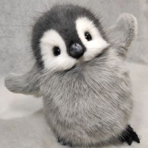 Penguin Aesthetic, Penguin Pfp, Cute Animal Names, Penguin Pictures, Cut Animals, Cute Small Animals, Zoo Babies, Very Cute Dogs