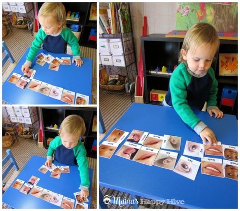 Matching Body Parts - www.mamashappyhive.com Montessori Literacy, Toddler Activties, Children Reading Books, Human Body Lesson, Body Parts Preschool Activities, Body Parts For Kids, Human Body Projects, Body Preschool, Human Body Activities