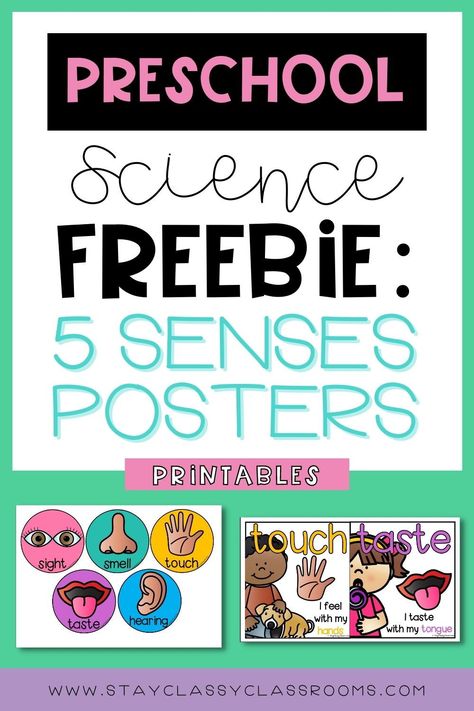 Five Senses Poster Preschool, Preschool Science Posters, Printable Science Posters, 5 Senses Posters Free, 5 Senses Kindergarten Free, 5 Senses Poster Preschool, Five Senses Printables Free, Free 5 Senses Printables, 5 Senses Circle Time Activities