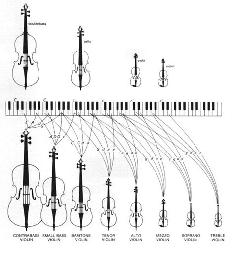 Violin Octet Members Bass Cello, Violin Family, Learn Music Theory, Violin Cello, Music Theory Lessons, Violin Strings, Learn Violin, Choral Music, Violin Lessons