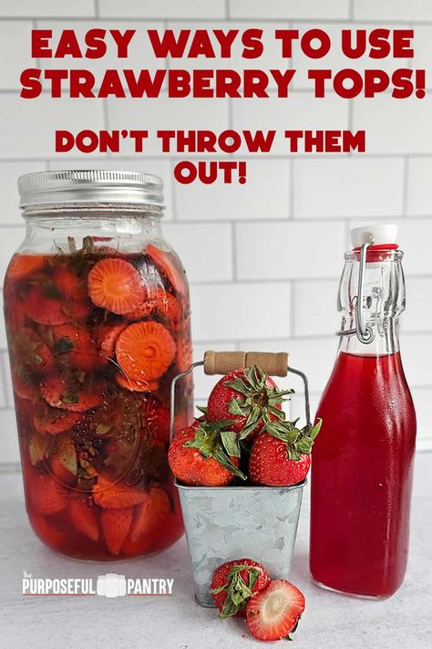 Never waste a strawberry top again! Strawberry tops are good for so many things like teas, powders, and more! And there's not point in getting rid of the greens - they're great, too! Strawberry Tops, Strawberry Vinegar, Leftover Strawberries, Fresh Strawberry Recipes, Canning Food Preservation, Strawberry Topping, Dehydrated Food, Syrup Recipe, Garden Recipes