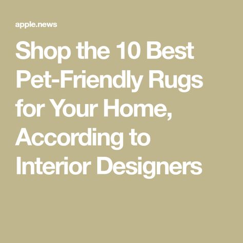 Shop the 10 Best Pet-Friendly Rugs for Your Home, According to Interior Designers Rugs With Pets, Pet Friendly Rug, Best Carpet For Pets, Living With Cats, Martha Stewart Living, Grey Flooring, Cat Friendly, Cool Rugs, Indoor Rugs