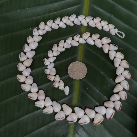 Puka Shell Necklace Puka Shell Lei Kauai Puka Shell Jewelry Rare Shells Kauai Made Hawaiian Style Gathered Eco Freindly Collected Shells Pucca Shell Necklace, Rare Shells, Seashell Jewelry Diy, Eco Freindly, Cone Shell, Puka Shell Necklace, Puka Shell, Seashell Jewelry, Handmade Fashion Jewelry