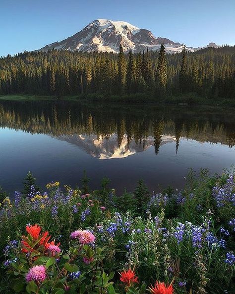 Mount Rainier, Washington, U.S. | Photography by © Derek Dammann (@derek_dammann) #EarthOfficial Mt Rainer, Rainy Photos, Scenic Pictures, Mountain Pictures, Modern Postcard, Wonderful Nature, Scenic Photos, Mt Rainier, Beautiful Places On Earth