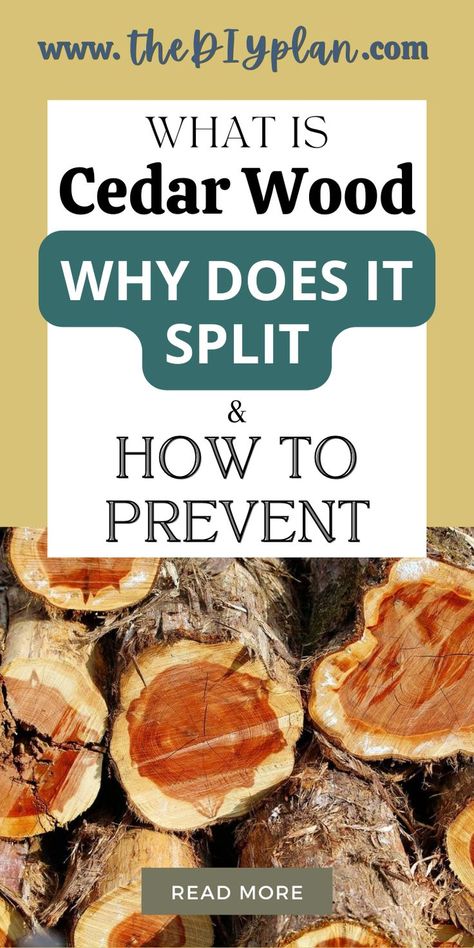 Cedar wood splits when the water leaves the cells faster than it can be replaced. This usually happens when the wood is exposed to sunlight or left in an uninsulated barn in the winter. It can also happen if the wood is stored near a heat source for a prolonged period. || DIY Home Decor, DIY Furniture, Wood Projects, Woodworking Projects, Wood Crafts, Carpentry DIY || #woodworking #project #design #tool #carpentry #diy #tips Cedar Wood Projects, Build A Greenhouse, Bird Houses Diy, Woodworking Ideas, Cedar Wood, Living Room Diy, Woodworking Tips, Outdoor Projects, Wooden Diy