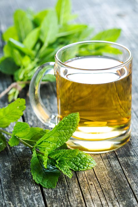 Herbal Tea Photography, Tulsi Tea, Lemongrass Tea, Cinnamon Tea, Herbal Teas Recipes, Herbal Drinks, Peppermint Tea, Mint Tea, Tea Benefits