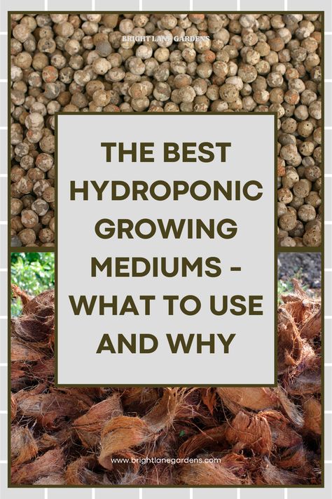 Learn everything you need to know to choose the best hydroponic growing mediums for your setup. We took the most common growing mediums and broke them down by pros and cons, and what to avoid all together! #hydroponic #hydro #growyourownfood #gardening #indoorgarden How To Build A Hydroponic System, Hydroponic Potatoes, Diy Hydroponic Garden Indoor, Hydro Garden, Potato Farming, Agri Tourism, Hydroponics Setup, Hydroponic Gardening Diy, Indoor Hydroponic Gardening