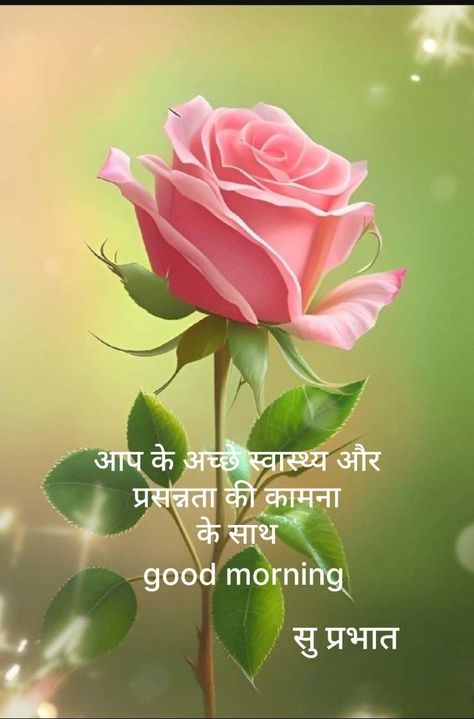 Good Morning Wishes In Hindi, Thoughts Hindi, Saved Quotes, Good Morning Wishes Friends, Flower Pic, Views Nature, Good Morning Dear Friend, Good Night Love Messages, Good Morning Flowers Rose