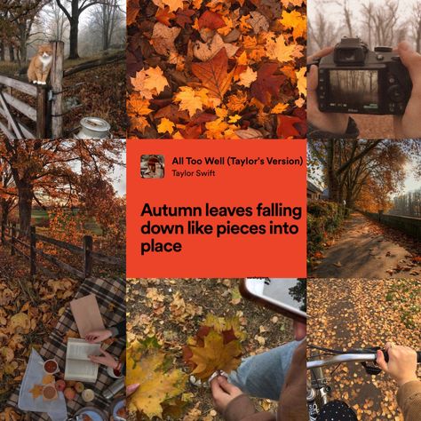 Taylor Swift + autumn/fall aesthetic >>>>>> Fall Aesthetic Tv Shows, Swiftie Fall Aesthetic, Taylor Autumn Aesthetic, Autumn Taylor Swift Aesthetic, Autumn Aesthetic Taylor Swift, Fall Taylor Swift Songs, Taylor Swift Fall Playlist, Taylor Swift Albums As Seasons, Fall Taylor Swift Aesthetic