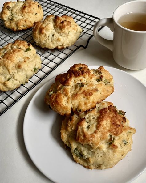 Tamale Masa, Cream Cheese Scones, Scallion Cream Cheese, Ginger Chicken Soup, Cheese Scone Recipes, Cheese Scones, Chocolate Peanut Butter Pie, Recipes To Cook, Savory Scones