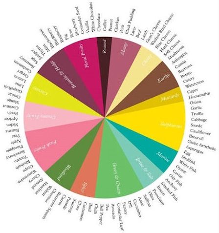 The Flavour Thesaurus by Niki Segnit - a useful reference book and a good read. Flavor Wheel, Flavour Pairing, Culinary Lessons, Cookie Tips, Black Pudding, Peanut Chicken, Food Pairing, Kitchen Skills, Cooking 101