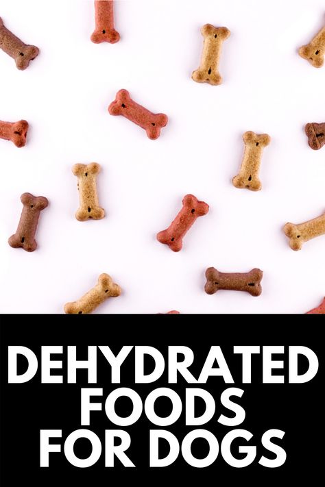 Making your own dog treats is a great way to keep your dog's diet healthy. Here, we share the best dehydrated foods to feed your dog, and how you can make your own! Read more at MomDot.com! Dehydrated Dog Treats, Food Dehydrator Machine, Dehydrated Dog Food, Dehydrated Chicken, Dehydrated Foods, Canned Dog Food, Fruit Roll, Electric Foods, Dog Diet