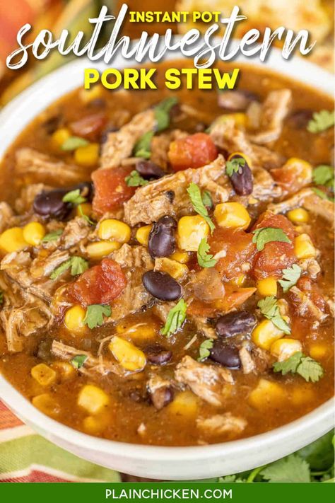 Pork Stew Meat Recipes, Pork Stew Meat, Pork Soup Recipes, Pork Stew Recipes, Hearty Stew, Pork Chili, Pork Soup, Stew Meat Recipes, Pork Stew