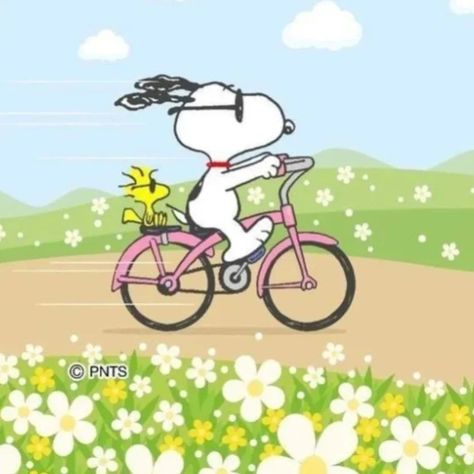 Snoopy Funny, Snoopy Pictures, Snoopy Woodstock, Woodstock, Snoopy, Bike, Instagram Photo, Pink, On Instagram