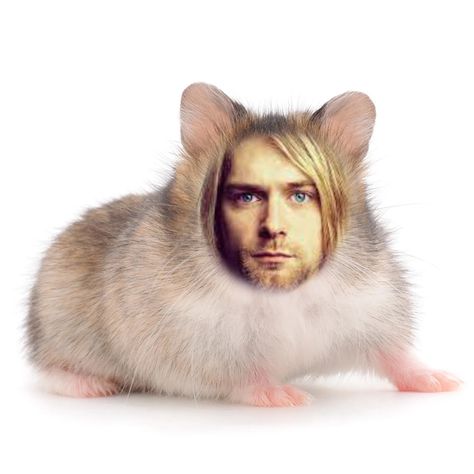 A Hamster, Kurt Cobain, Nirvana, Hair