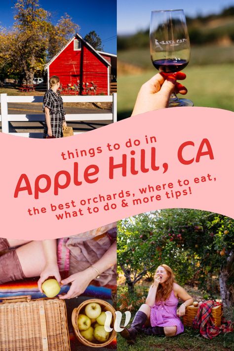 Apple Hill California, Pleasanton California, Apple Hill, Baby Otter, Tasty Desserts, Hot Apple Cider, Apple Cider Donuts, California Girl, Sunny California