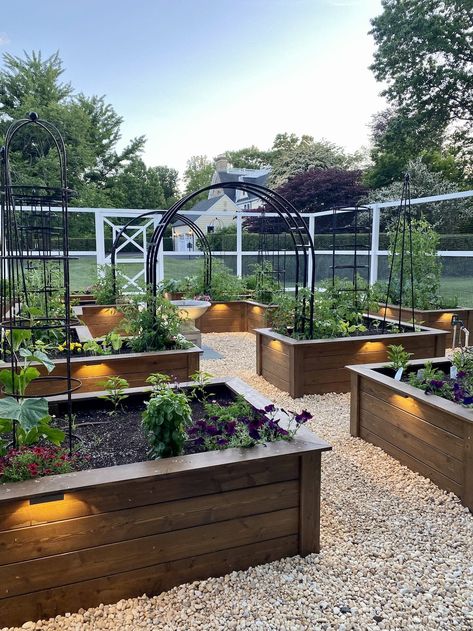 Raised Bed Garden, Grow Food, Backyard Pools, Landscape Designs, Home Vegetable Garden, Backyard Garden Design, Vegetable Garden Design, Plant Cuttings, Raised Bed