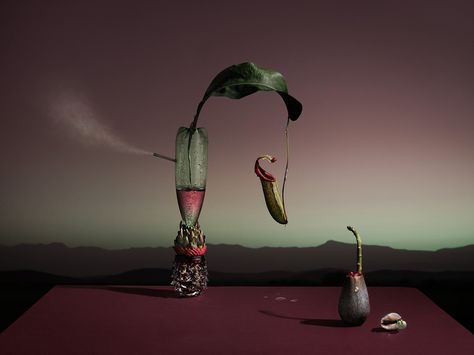 https://www.behance.net/gallery/36278223/The-Impossibility-of-Love Surrealist Photography, Creative Still Life, Photoshop Artwork, Art Of Seduction, Still Life Photos, Uk Artist, Creative Portraits, Advertising Photography, Close Image