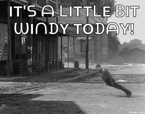 Resisting Wind GIF - Resisting Wind Windy - Discover & Share GIFs Puppies Gif, Miniature Schnauzer Puppies, Social Media Work, Windy Weather, Schnauzer Puppy, Crazy Quotes, Weather Day, Marketing 101, Windy Day