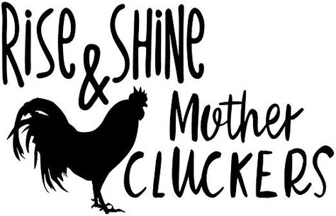 Car Decals Vinyl Window Stickers, Mother Clucker, Cricket Ideas, Chicken Farming, Van Wall, Backyard Chicken Farming, Cray Cray, Funny Decals, Crazy Quotes