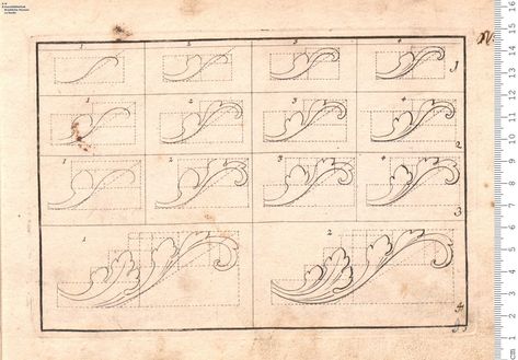 How To Draw Acanthus Leaves, Filigree Drawing Step By Step, How To Draw Filigree, Acanthus Leaf Drawing Tutorial, Filigree Design Drawing, How To Draw Filigree Step By Step, How To Draw Ornaments, Acanthus Leaf Drawing, Sunflower Drawings