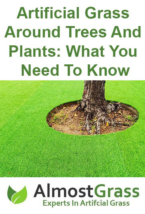 In this article, our team of experts will tell you everything you need to know about laying artificial grass around trees, bushes and plants. Artificial Turf Around Trees, How To Lay Turf, Laying Artificial Grass, Fake Turf, Lawn Turf, Artificial Grass Installation, Faux Grass, Artificial Lawn, Fake Grass