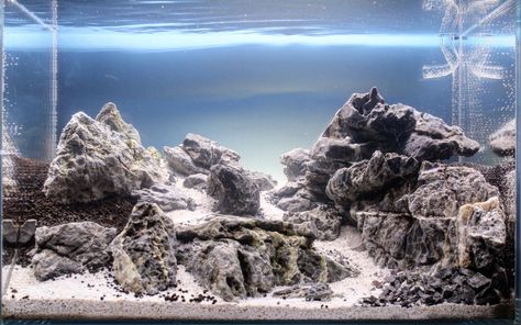 Seiryu Stone hardscape in a 45P Seiryu Stone Aquascape, Aquarium Scaping, Stone Aquascape, Stone Hardscape, Aquascaping Rocks, Aquascape Ideas, Aquascape Design, Aquarium Ideas, Nature Aquarium