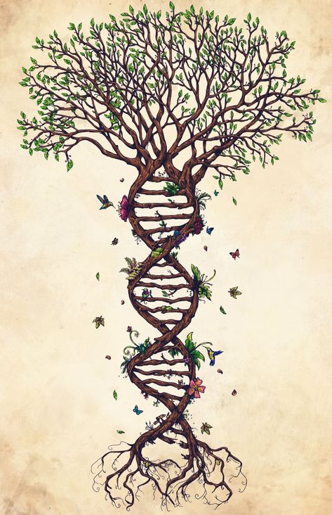 Ancestral Healing — root wisdom Tato 3d, Dna Tree, Green Tattoos, Tattoo Tree, Mother Nature Tattoos, Tato Henna, Le Cri, Tree Tattoo Designs, Tree Of Life Tattoo