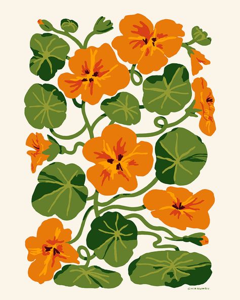 Nasturtiums I Print Bright Colorful Art Prints, Floral Print Art, Art Print Decor, Nasturtium Photography, Eclectic Wall Prints, Pot Plant Illustration, Bright Prints For Walls, Artsy Laptop Wallpaper, Pretty Art Paintings