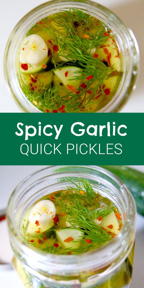 Quick Spicy Garlic Fridge Pickles – Lady of the Ladle Spicy Pickle Recipes, Refrigerator Pickles Dill, Garlic Dill Pickles, Pickle Recipes Homemade, Dill Pickle Recipe, Pickles Recipe, Canning Pickles, Spicy Pickles, Herbs Garden