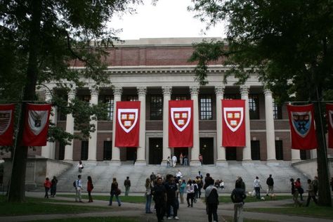 Harvard Application, Harvard Mba, Harvard Students, Ivy League Schools, Mba Student, Harvard Law, Harvard Law School, Harvard Business School, Best University