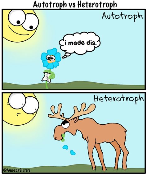 Amoeba Sisters, Biology Jokes, Biology Memes, Biology Activity, Biology Humor, Biology Resources, Science Puns, Biology Classroom, High School Biology