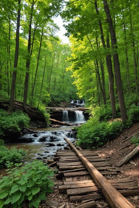 &#8220;Discover Farmington, Missouri: Where Adventure Meets Heritage 🌲&#8221; Blueberry Picking, Disc Golf Courses, Ozark Mountains, Recreational Activities, Interesting Places, Scenic Routes, Disc Golf, Outdoor Adventures, New Hampshire