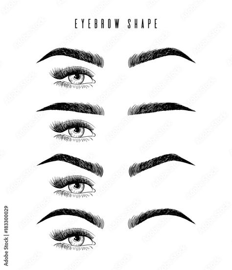 Eyebrows Shape, Eyebrows Goals, Ombre Eyebrows, Types Of Eyebrows, Eyebrow Styles, Brows Makeup, Eyebrow Design, Makeup Eyebrows, Thick Brows