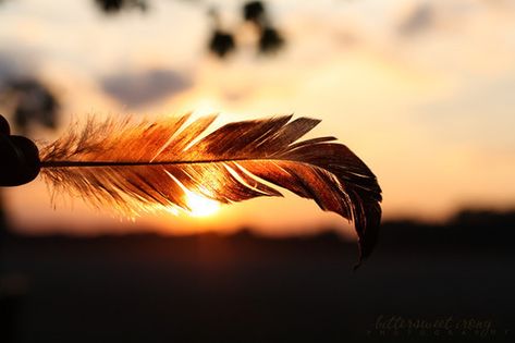 feather Image Film, Fb Covers, Reasons To Smile, Facebook Cover Photos, Facebook Cover, Beautiful Photography, Sunrise Sunset, Pretty Pictures, Cover Photos