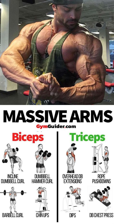 Big Biceps Workout, Bigger Biceps, Dip Workout, Burner Workout, Fitness Studio Training, Workout Men, Strong Men, Gym Antrenmanları, Big Biceps