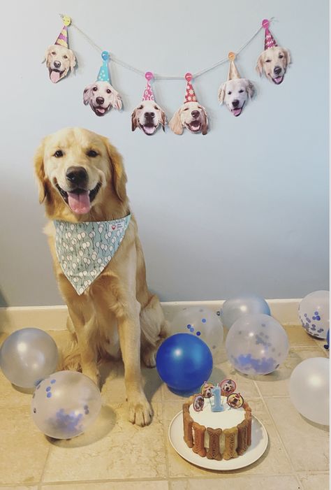 Dog’s Birthday Ideas, Dog Birthday Theme Ideas, Dogs Birthday Ideas, Dog Birthday Ideas, Puppy Birthday Cakes, Paw Birthday, Dog First Birthday, Diy Photo Backdrop, Puppy Birthday Parties