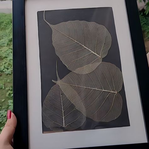 Frame
Home decor
Leaf frame
Skeleton leaf frame Skeleton Leaves Crafts, Skeleton Leaves Diy Wall Decor, Leaf Skeleton Art, Skeleton Leaf Art, Leaf Pressing, Diy Skeleton, Leaf Home Decor, Leaf Art Diy, Leaf Craft