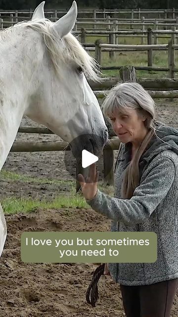 True Connection Horse Training on Instagram: "After my previous video with my six valentine tips (thank you for all your lovely comments🥰) I received some questions about playing at liberty and how to prevent the horse from running you over. 

Now this horse used to nibble a lot. He would take everything in his mouth and try to get the pieces of carrot from my pocket🙄.

So when playing at liberty, I explained to him about my personal space. Setting borders is very important, especially at liberty. I always say ‘Clarity with softness’. See how he is standing now in front of me, looking around in a relaxed way and not trying to enter my space (or look for carrots in my pocket😄).

Setting borders will give them a safe place in which they can explore and express themselves. With most horses Liberty Horse Training, True Connection, A Safe Place, My Space, Some Questions, Horse Training, Personal Space, The Horse, Safe Place