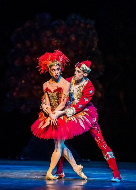 Yasmine Naghdi, The Firebird, 3d Chalk Art, San Francisco Ballet, Sergei Polunin, The Royal Ballet, Alvin Ailey, Bolshoi Ballet, Russian Folk Art